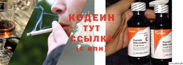 стаф Калининец