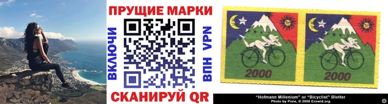 Марки N-bome 1500мкг где можно купить наркотик Покачи