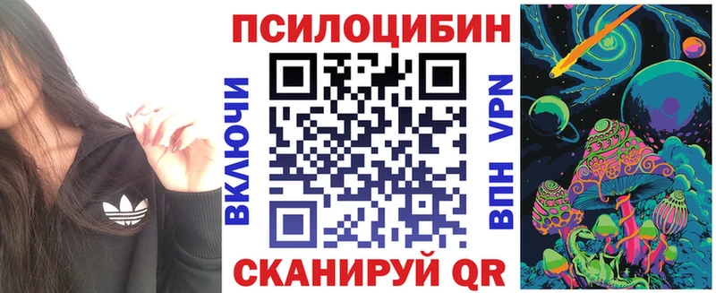 продажа наркотиков  Покачи  Псилоцибиновые грибы GOLDEN TEACHER 